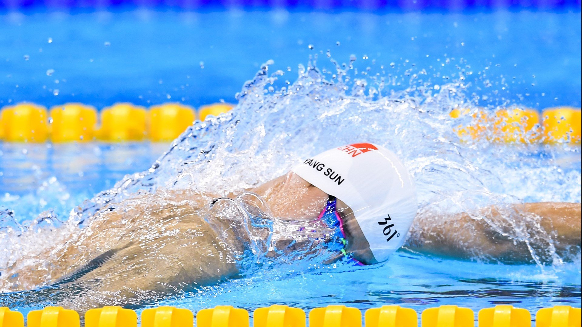 泰国马术协会推出马匹健康管理系统，提升马匹福利。，泰国的马杀鸡是什么项目